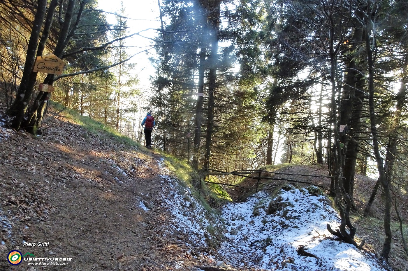 73 Scendiamo il valloncello e al bivio prendiamo a sx il sent. 503 panoramico .JPG